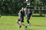 OTFL Gallery Image